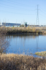 Pylypow Wetlands on a Clear Autumn Day