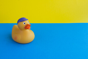 Close-up on yellow toy duckling for bathing on the colored background. Copy space.