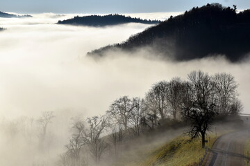 Fototapeta premium Sonne bricht durch den Nebel im Schwarzwald