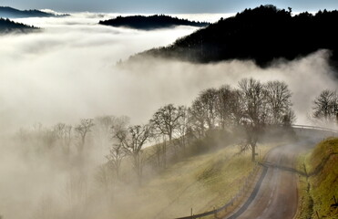 Fototapeta premium Sonne bricht durch den Nebel im Schwarzwald