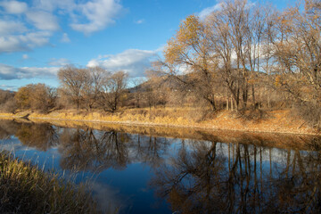 Fototapeta na wymiar Trees reflecting in the Okanagan River in autumn