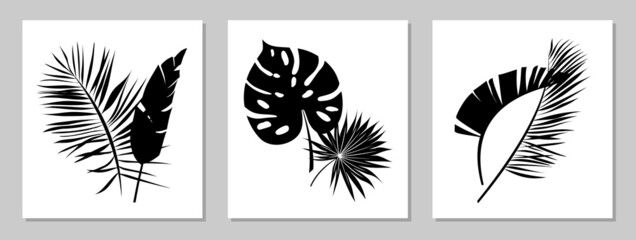Set of tropical leaves posters on a white background. Silhouette of palm leaves, banana and monstera in black. Simple style. Botanical vector set. Backgrounds for print, cover, wall art and design.
