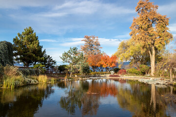 autumn landscape with pond and trees in the Japanese Garden in Penticton, BC