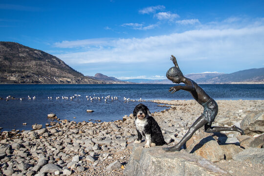 Penticton, British Columbia, Canada - November 8, 2021: A dog sitting on the empty beach at Okanagan Lake beside The Romp by sculptor Chong Fahcheong.