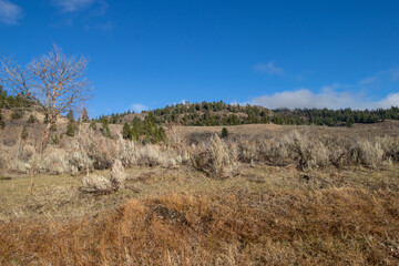 Grasslands and sage bush in the mountains