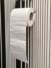 Pełna rolka papieru toaletowego wiszacego na uchwycie w toalecie. - obrazy, fototapety, plakaty
