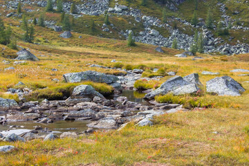A clear mountain stream on the green meadows in the Austrian Alps