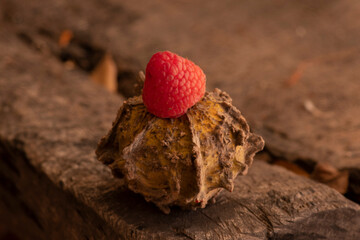papaches y cacahuates comida antioxidante mexicana