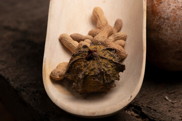 cacahuate y papache comida organica mexicana 