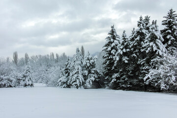Winter Landscape of South Park in city of Sofia, Bulgaria