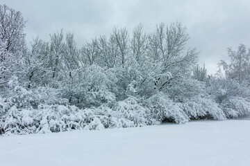 Winter Landscape of South Park in city of Sofia, Bulgaria