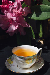 vintage teacup with chamomile tea and pink rhododendron  flower dark background
