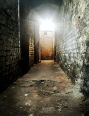 old dark cellar - obrazy, fototapety, plakaty