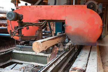 The process of processing wood at a sawmill. Woodworking industry