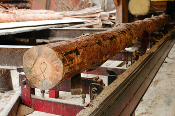 Industrial sawing of logs on sawmill equipment