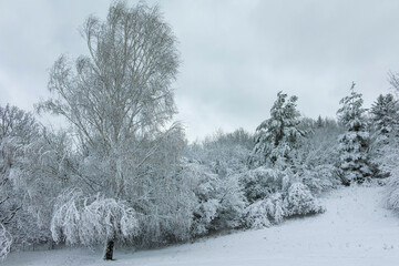 Winter Landscape of South Park in city of Sofia, Bulgaria
