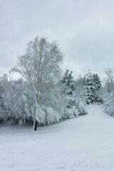 Winter Landscape of South Park in city of Sofia, Bulgaria