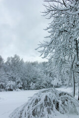 Winter Landscape of South Park in city of Sofia, Bulgaria
