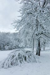 Winter Landscape of South Park in city of Sofia, Bulgaria