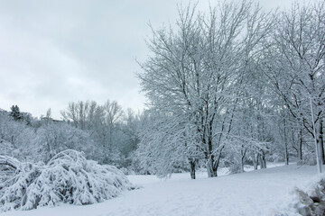 Fototapeta premium Winter Landscape of South Park in city of Sofia, Bulgaria
