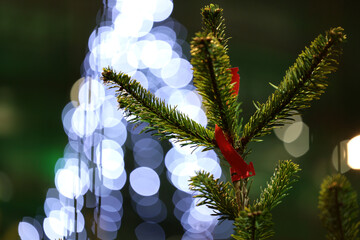 Drzewko świąteczne choinka przygotowana na święta bożego narodzenia.  - obrazy, fototapety, plakaty