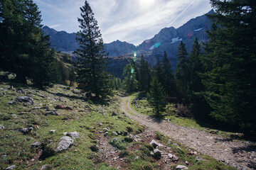 Sommerstimmung in der Morgensonne im Karwendelgebirge in den österreichischen Alpen mit Blick von der Drijaggenalm zur Eiskarlspitze in den Laliedererwänden