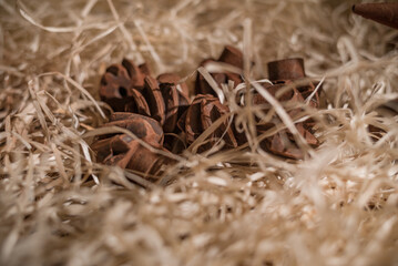 Tools figures made of chocolate is very popular thing to buy at Lviv, Ukraine.
