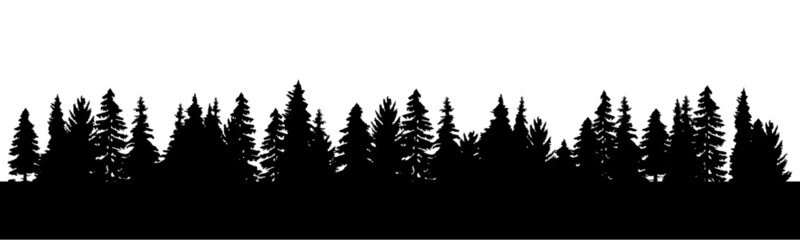 Long tree line forest © Emmanuel