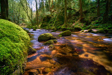 Beautiful shot of a stream in the Black Forest with moss and stones