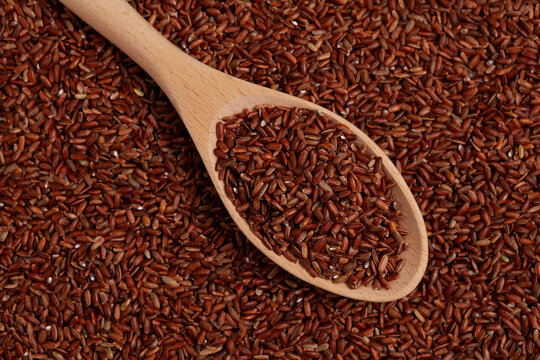 GABA rice in wooden spoon lying on red grains. Germinate brown rice