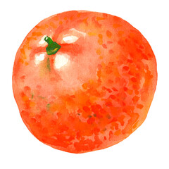 Watercolor illustration orange, freehand drawing classic drawing, close to nature.