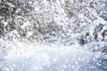 Winter snow is falling in the forest. Snow covered trees. Frosty, cold weather.
