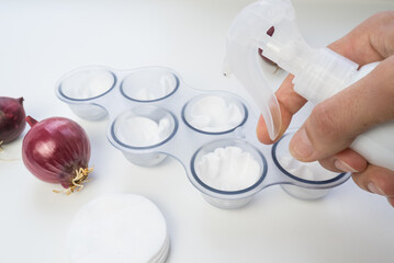 Fototapeta premium Red onions in egg trays for sprouting at home by the window.