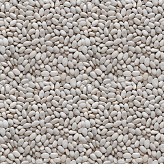 Seamless texture of background of white beans. Top view. Four fragments in one.