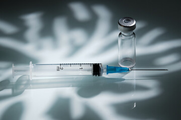 Syringe and empty vial from under the vaccine on an abstract light-shadow background. Veterinary...