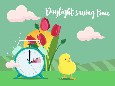 Daylight saving time banner. Clocks move forward. Tulips and chicken near the clock. Spring clock change concept.