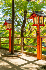 Naklejka premium traditional red lanterns lined up in front of the fence surrounded by autumn trees in shinto shrine