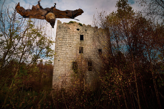 A bat flying at night. Almond Castle is a ruined castle from the 15th century. It is  west of Linlithgow, and north of the Union Canal, in Falkirk, Scotland. U.K. It was also known as Haining Castle.