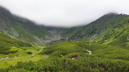 Obraz premium landscape with mountains, Iezer Valley, Rodnei Mountains, Romania 
