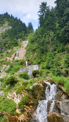 Fototapeta na wymiar stream in the mountains, Horses Waterfall, Rodnei Mountains, Romania 