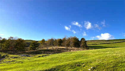 Late autumn evening landscape, with a stream, and trees, set against a blue sky near, Malham, Skipton, UK