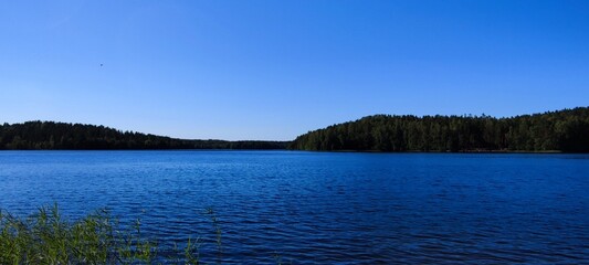 Blue water of a lake under a bright sky. Lake shore with blue water, clear blue sky above the lake. In the foreground is a green reed with sharp leaves. Between sky and water, a strip of green forest.