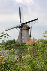 Plakat Kinderdijk - Windmühlen (Niederlande)