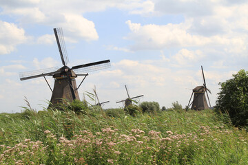 Kinderdijk - Windmühlen (Niederlande)