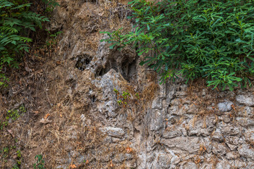 Beautiful nature rocky cliff with green plants view. Greece. 