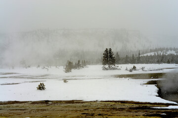 Winter Snowing Geothermal Pool Yellowstone