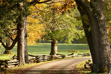 Road through Cades Cove in Tennessee