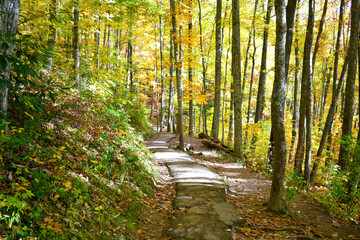 Autumn at Laurel Falls in Gatlinburg, Tennessee