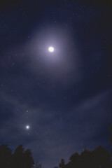 Beautiful night sky with full Moon, Venus and stars, and tree silhouettes © Samuel Ponce
