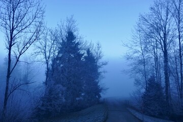 A blue morning in Switzerland